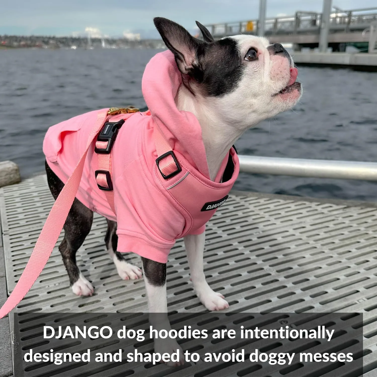 DJANGO Fully Lined Hoodie for Dog - Soft, Stretchy, and Cozy Sweatshirts for Dogs - Alpine Blue Winter Dog Sweaters for Dachshunds and Small Dogs - Warm Dog Hoodie Medium with Elastic Waistband