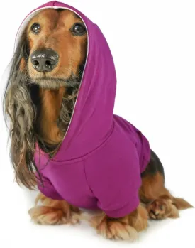 DJANGO Fully Lined Hoodie for Dog - Soft, Stretchy, and Cozy Sweatshirts for Dogs - Fuchsia Purple Winter Dog Sweaters for Dachshunds and Small Dogs - Warm Dog Hoodie X-Small with Elastic Waistband