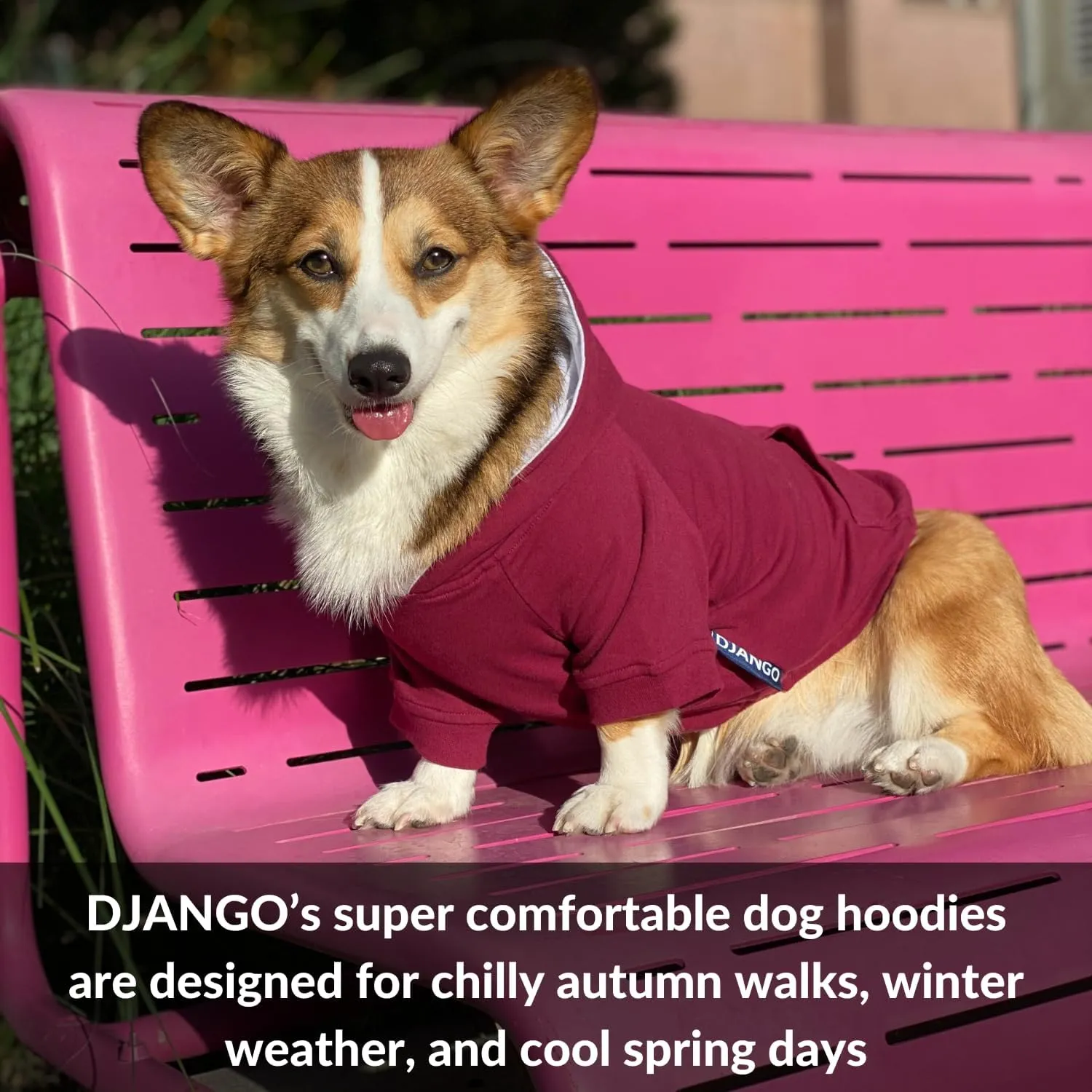 DJANGO Fully Lined Hoodie for Dog - Soft, Stretchy, and Cozy Sweatshirts for Dogs - Fuchsia Purple Winter Dog Sweaters for Dachshunds and Small Dogs - Warm Dog Hoodie X-Small with Elastic Waistband