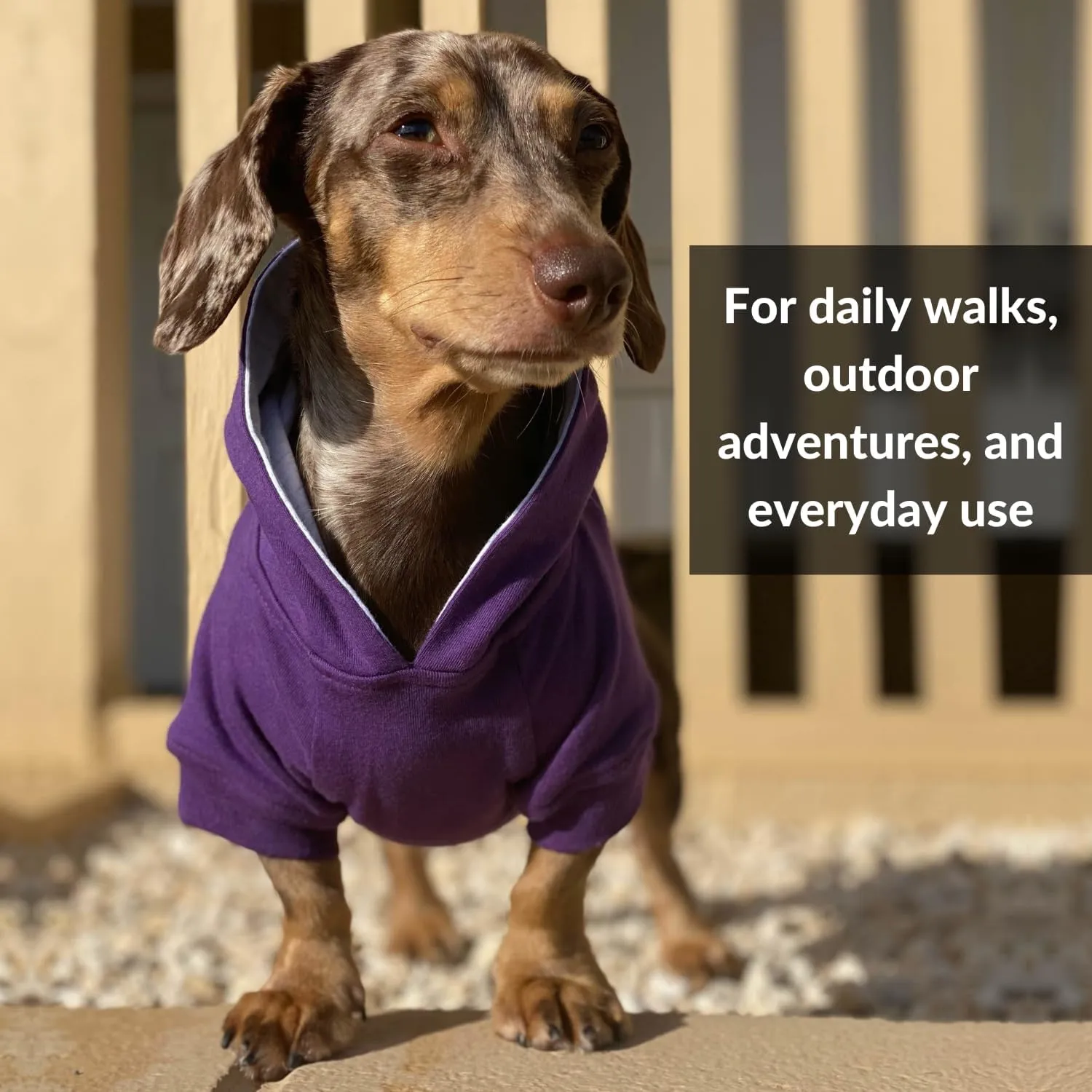 DJANGO Fully Lined Hoodie for Dog - Soft, Stretchy, and Cozy Sweatshirts for Dogs - Fuchsia Purple Winter Dog Sweaters for Dachshunds and Small Dogs - Warm Dog Hoodie X-Small with Elastic Waistband