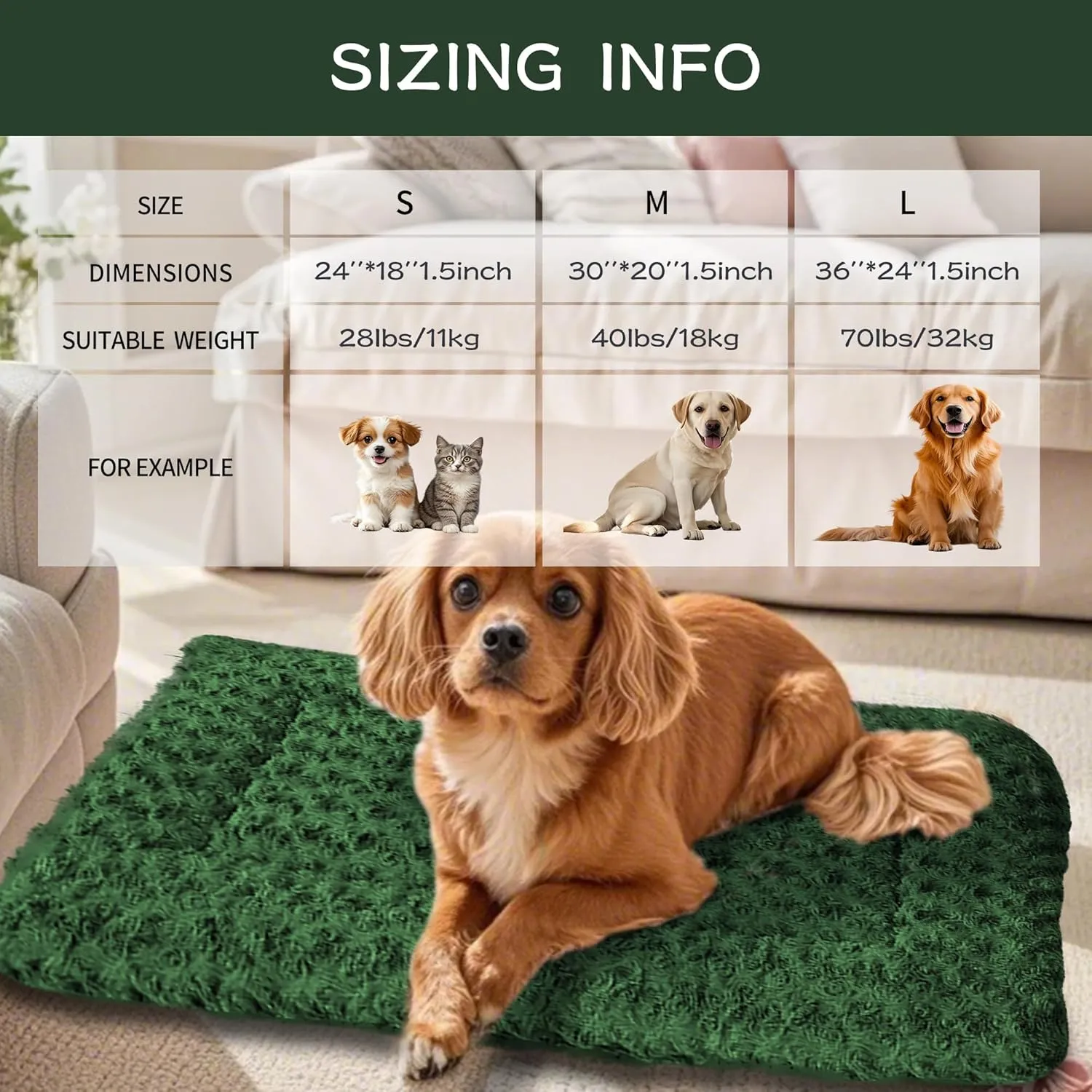 Dog Crate Bed Pad  Reversible Fleece Mat for Small, Medium, Large Dogs  Soft & Washable Anti-Slip Dog Bed Mat for Cages and Kennels  Comfortable, Durable Sleeping Pad for Dogs, Green, S