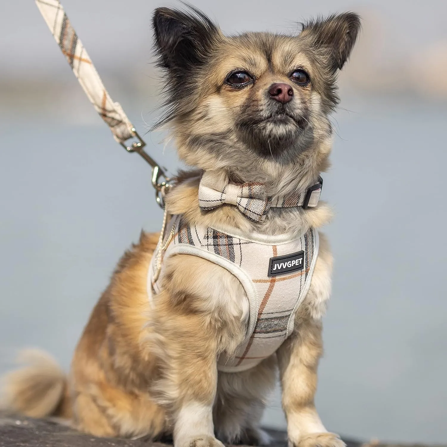 Dog Harness for Small Dogs - Plaid No Pull Dog Vest Harness and Leash Set - Step in Reflective Adjustable Soft Mesh Full Body Dog Harness for Walking, Running, Training...