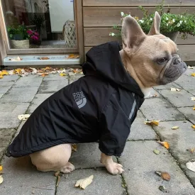 Dog Rain Jacket With Hood