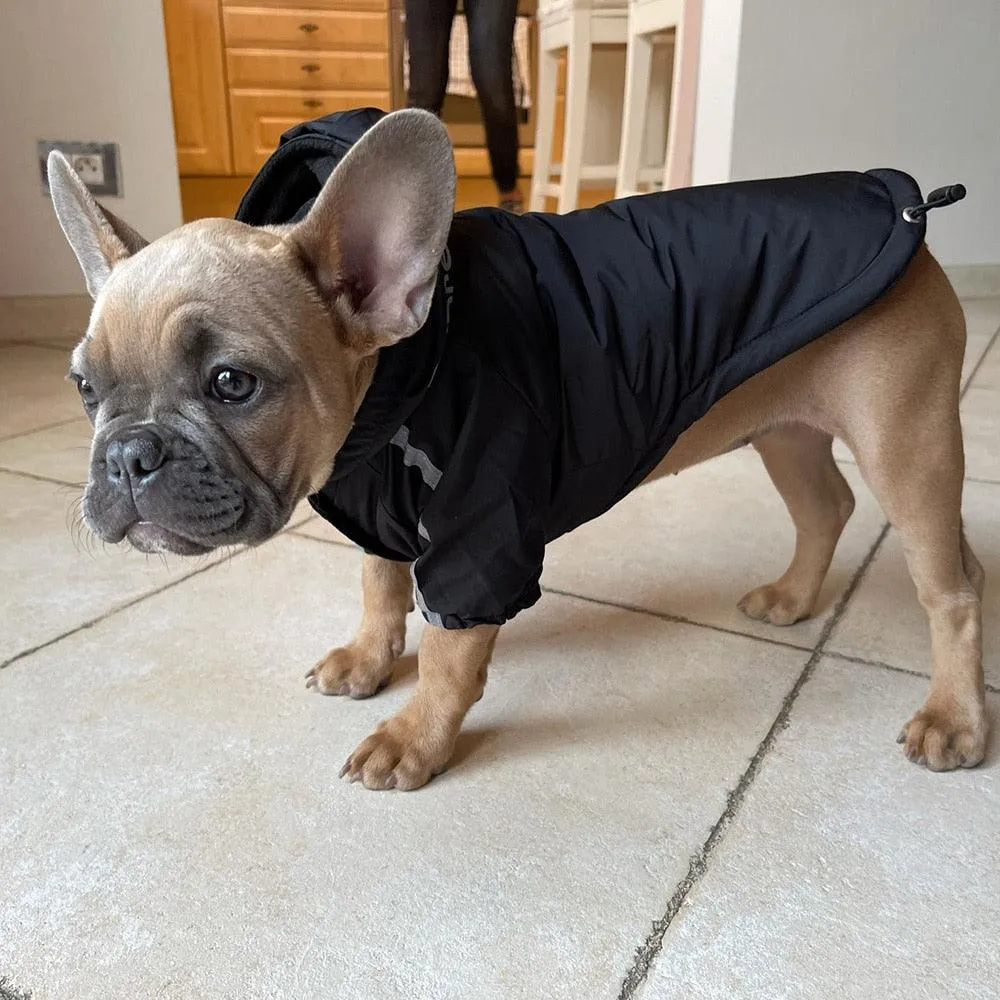 Dog Rain Jacket With Hood