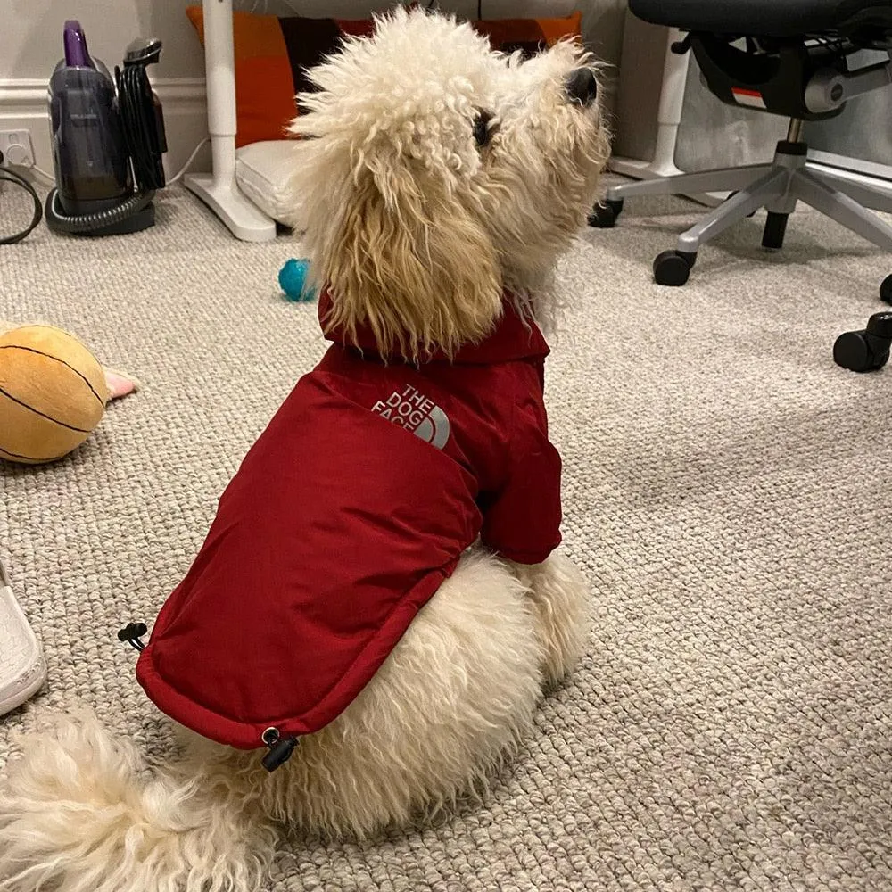 Dog Rain Jacket With Hood