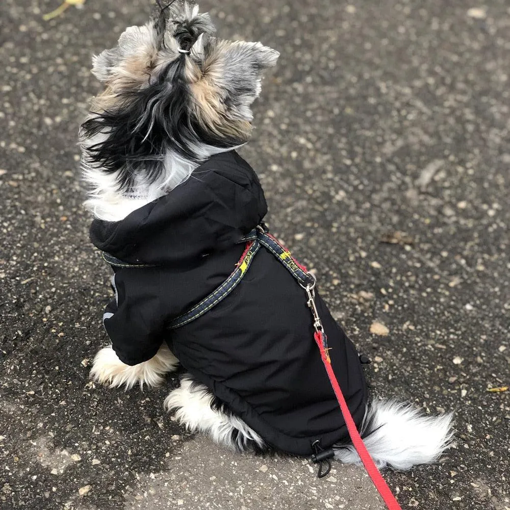 Dog Rain Jacket With Hood