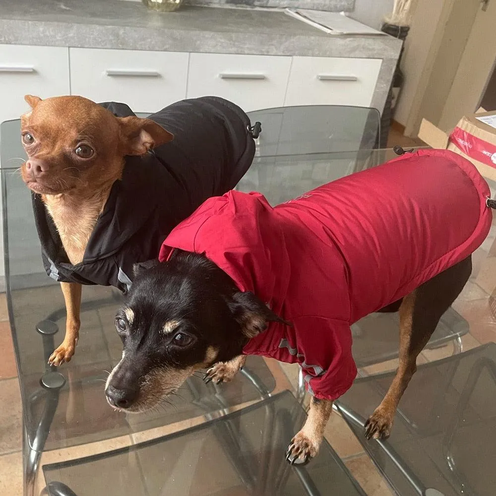 Dog Rain Jacket With Hood