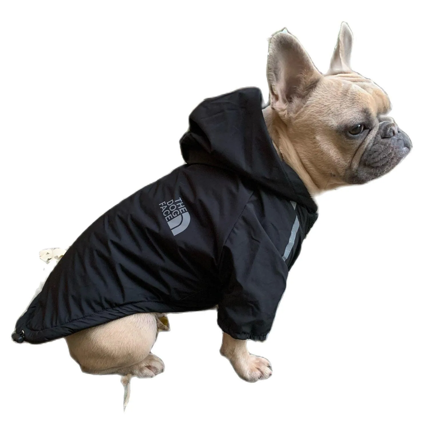 Dog Rain Jacket With Hood