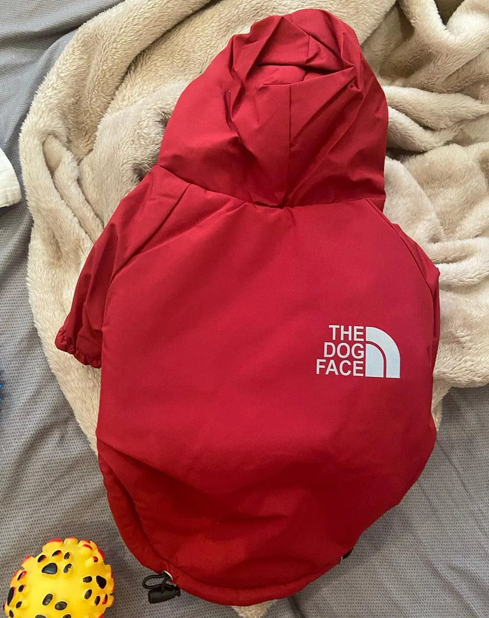 Dog Rain Jacket With Hood