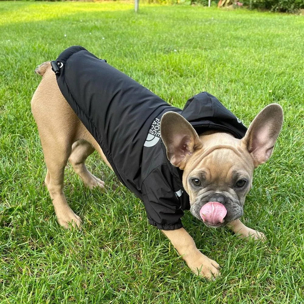 Dog Rain Jacket With Hood