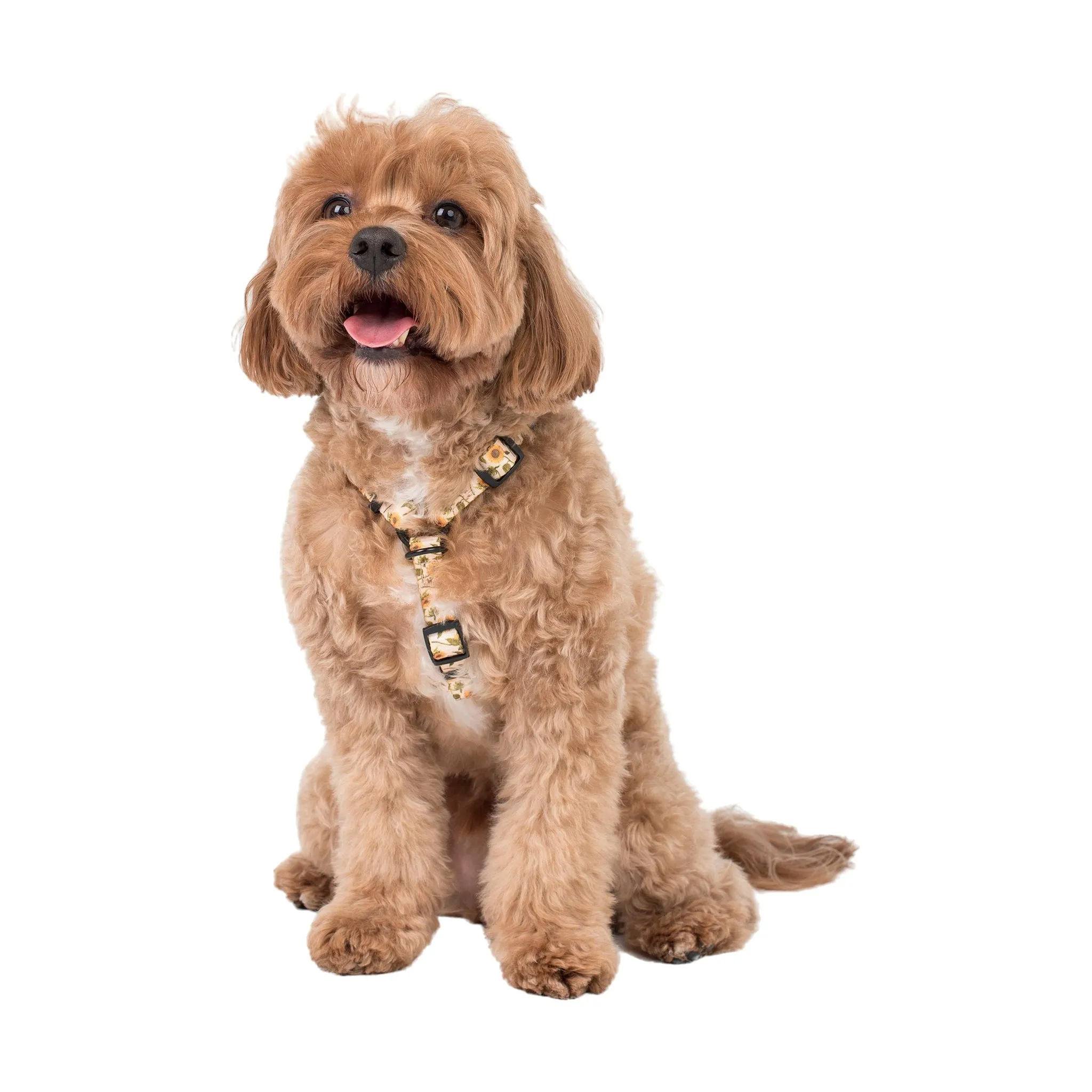 Dog Strap Harness - Sunflowers