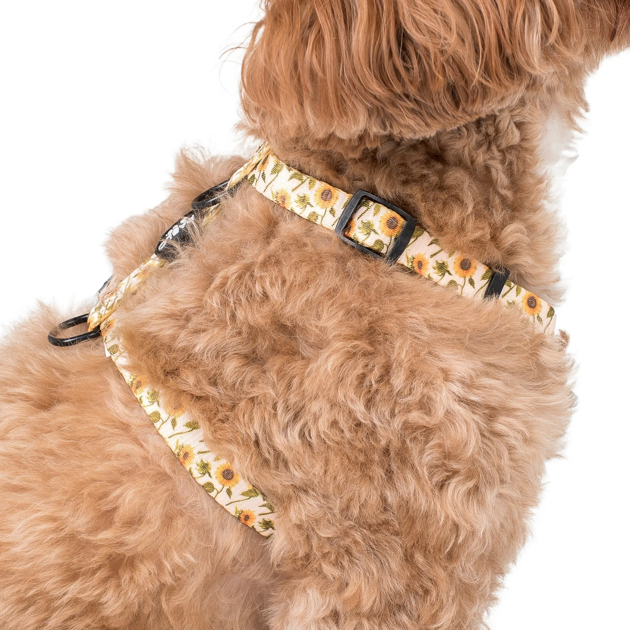 Dog Strap Harness - Sunflowers