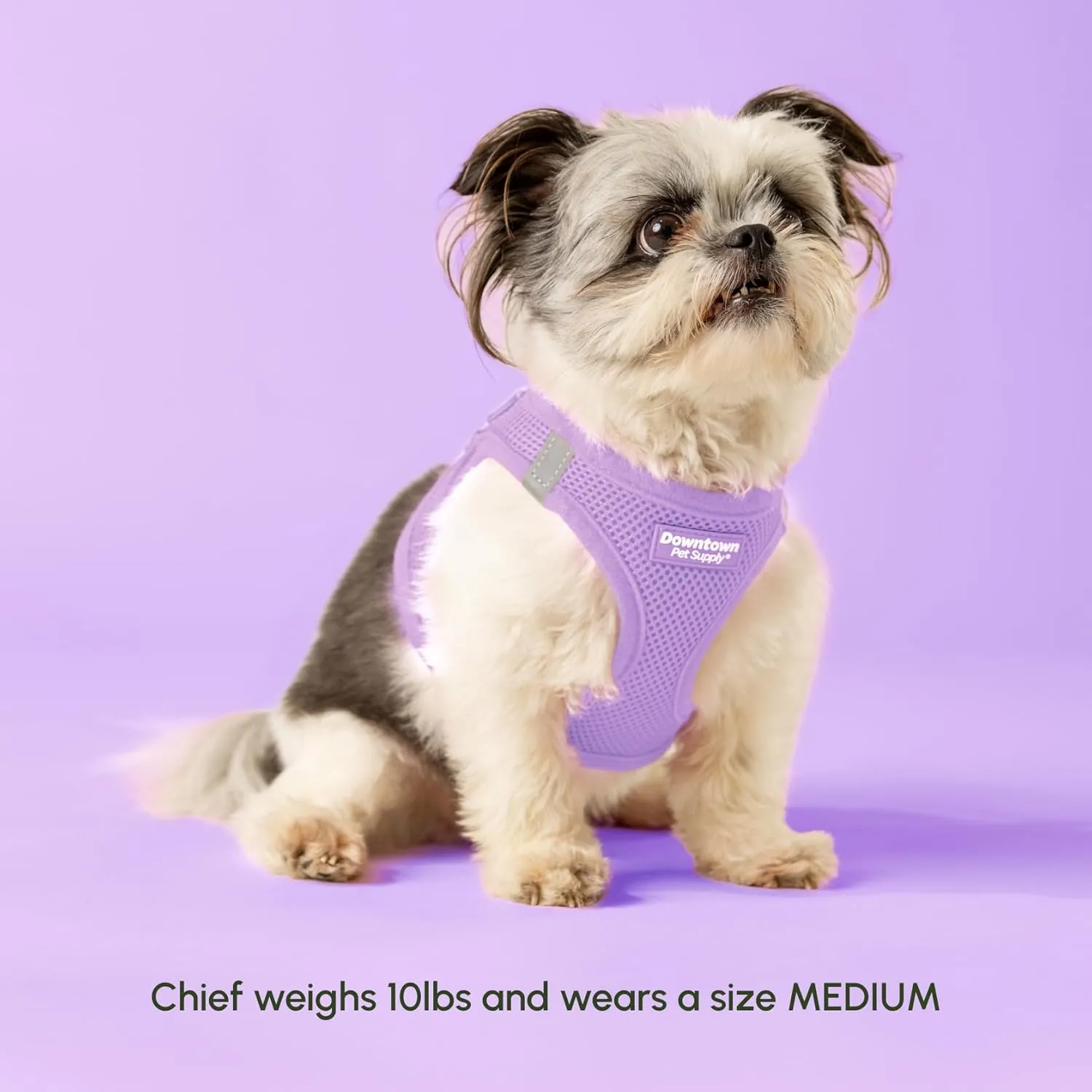 Downtown Pet Supply Step in Dog Harness for Small Dogs - Adjustable, Escape Proof Dog Harness with Reflective Trim - All-Weather, Fast-Drying Padded Mesh Fabric - Lilac, XS