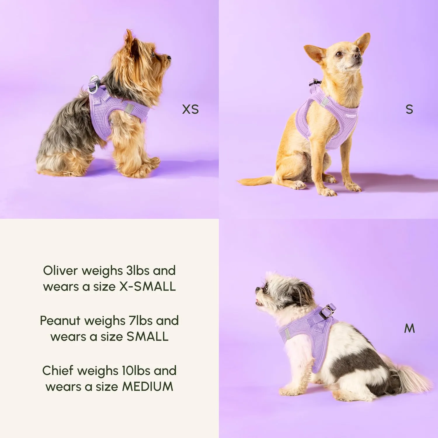 Downtown Pet Supply Step in Dog Harness for Small Dogs - Adjustable, Escape Proof Dog Harness with Reflective Trim - All-Weather, Fast-Drying Padded Mesh Fabric - Lilac, XS