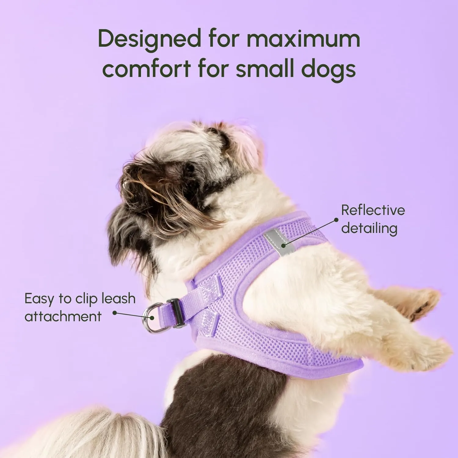 Downtown Pet Supply Step in Dog Harness for Small Dogs - Adjustable, Escape Proof Dog Harness with Reflective Trim - All-Weather, Fast-Drying Padded Mesh Fabric - Lilac, XS