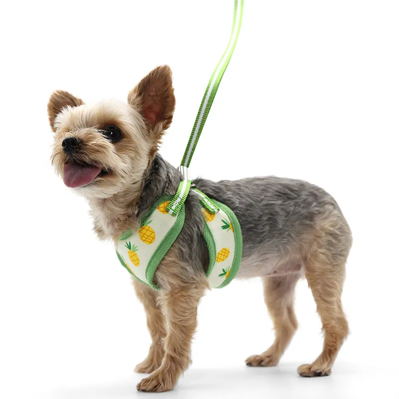 Easy Go Pineapple Yellow Dog Harness