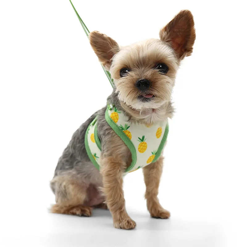 Easy Go Pineapple Yellow Dog Harness