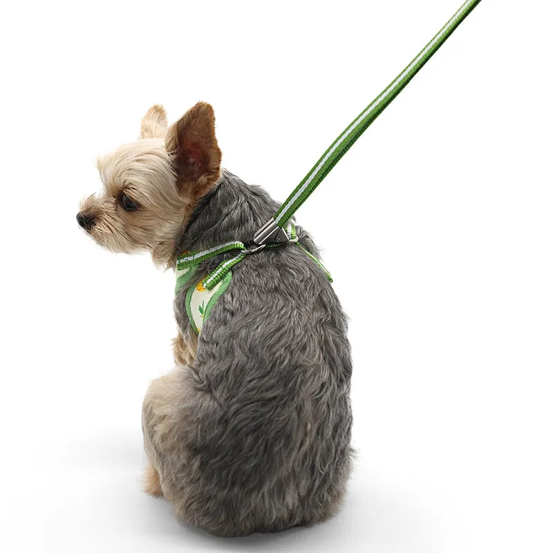 Easy Go Pineapple Yellow Dog Harness