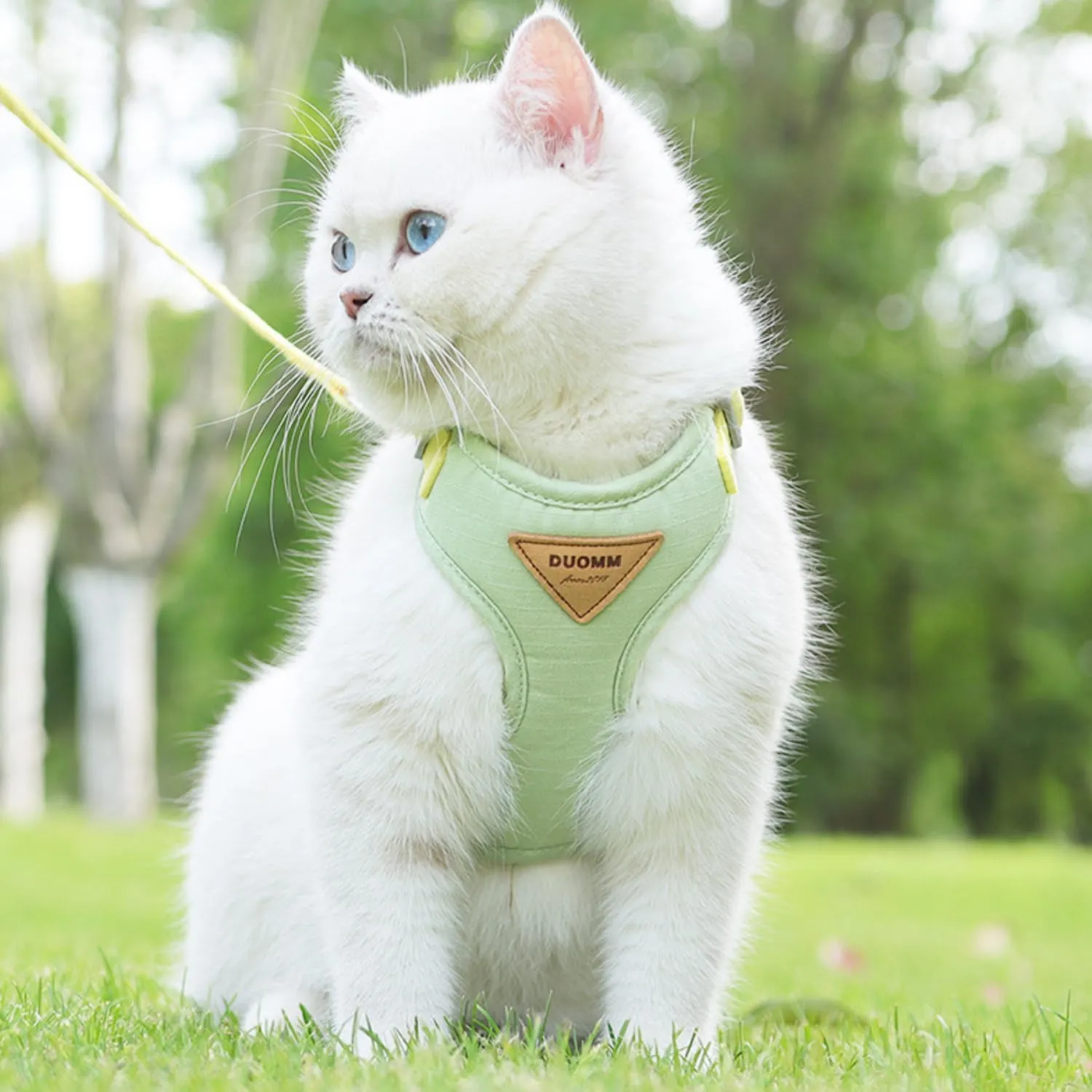 Escape-Proof Cat Harness and Leash Set - Adjustable and Comfortable - Ideal for Walking Cat Outdoors - Fits Kittens, Medium, and Large Cats (Green, S)