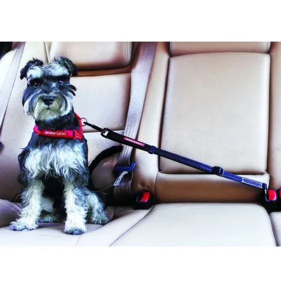 EzyDog Adjustable Car Restraint