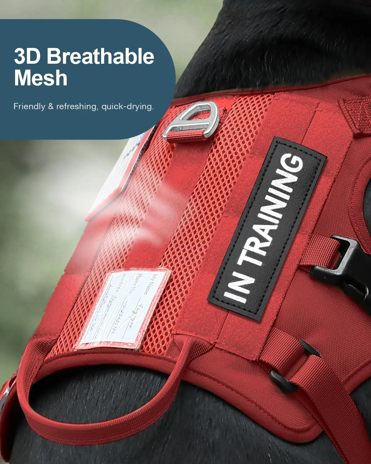 FAYOGOO Tactical Dog Harness for Large Dogs - Dog Harness Escape Proof with Handle - No Pull Military Service Dog Vest with Removable Patches for Walking,Training (Red, M(Chest:22-27"))