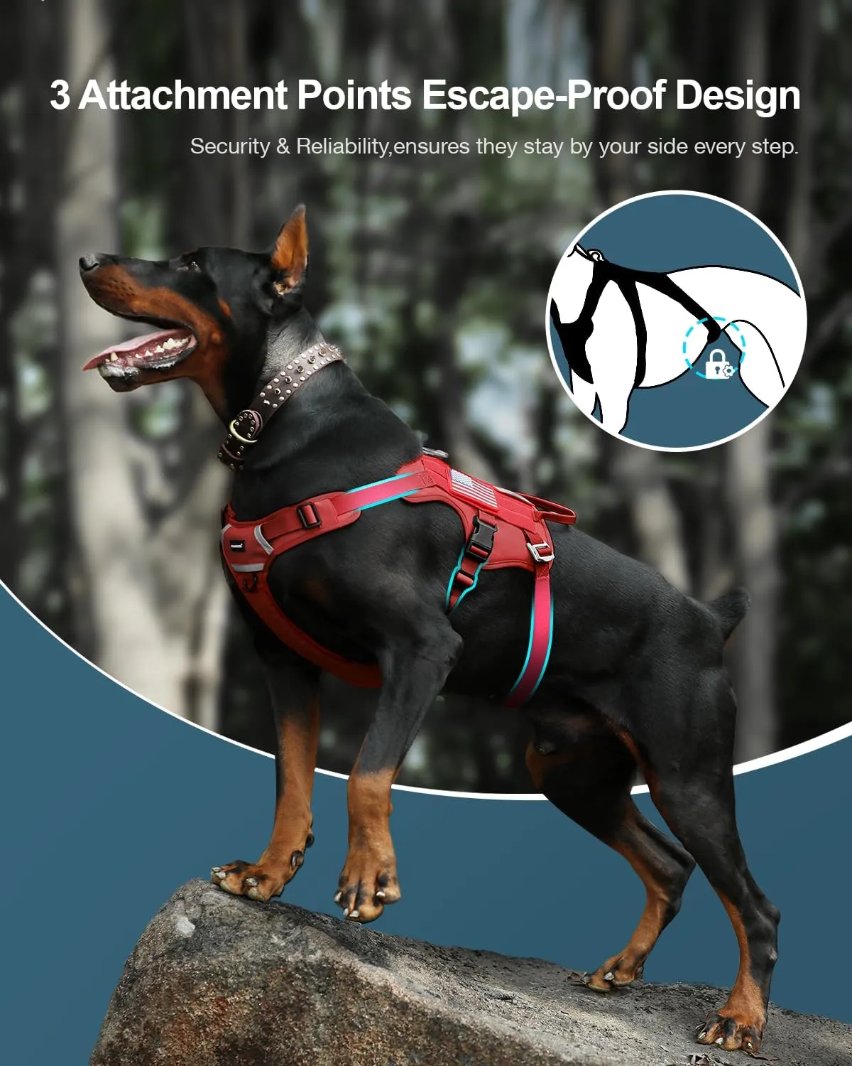 FAYOGOO Tactical Dog Harness for Large Dogs - Dog Harness Escape Proof with Handle - No Pull Military Service Dog Vest with Removable Patches for Walking,Training (Red, M(Chest:22-27"))
