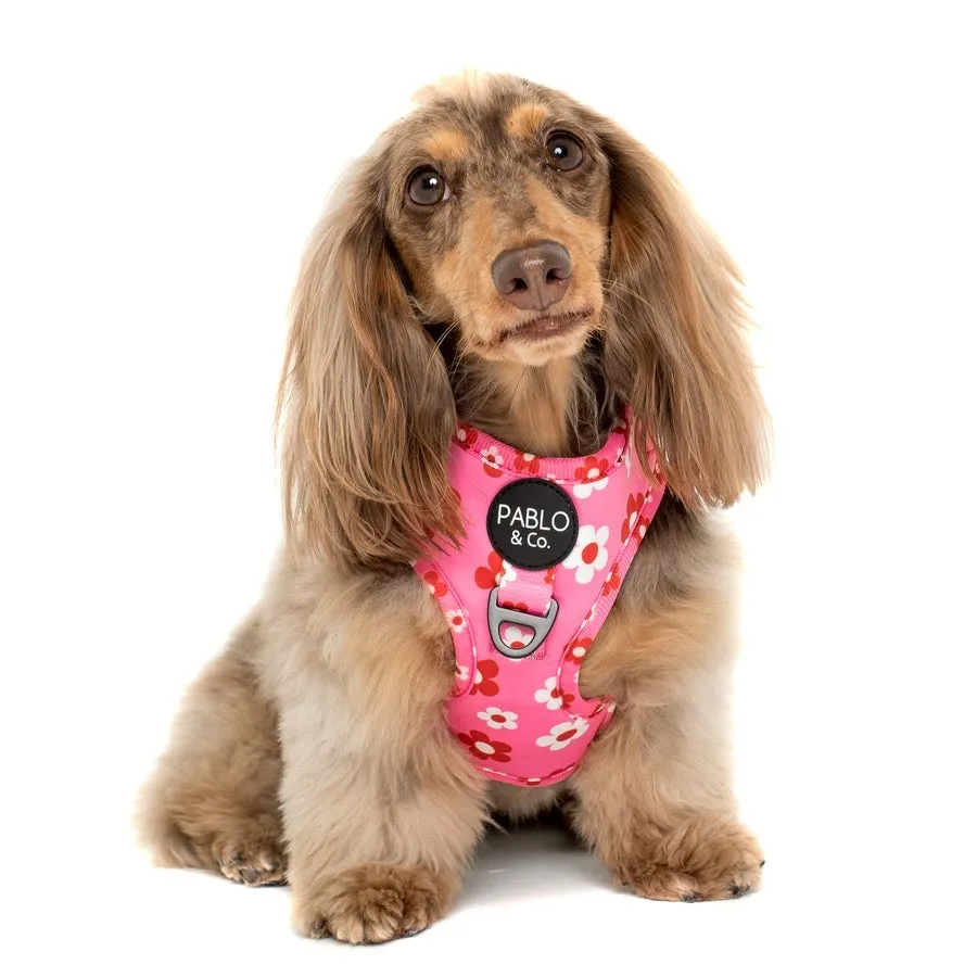 Flower Power Adjustable Harness