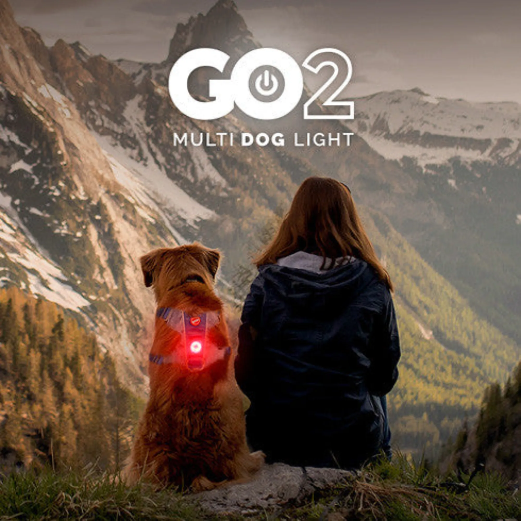 GO2 Light