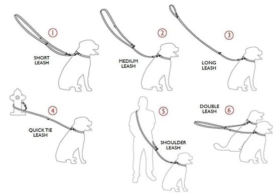 Hands Free Diamond Dog Leash - custom colors