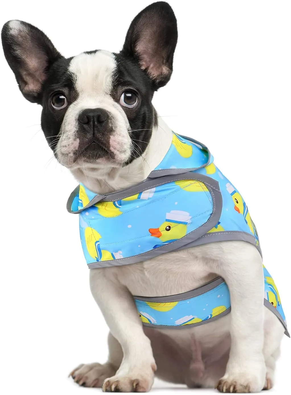 HDE Dog Raincoat with Clear Hood Rain Jacket Poncho for Small Medium Large Dogs Sailor Ducks Blue - S