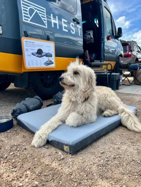Hest Dog Bed