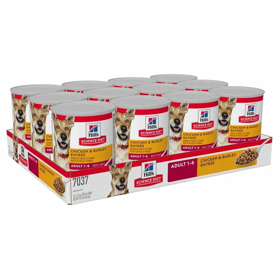 Hills Science Diet Adult Chicken Barley 370g