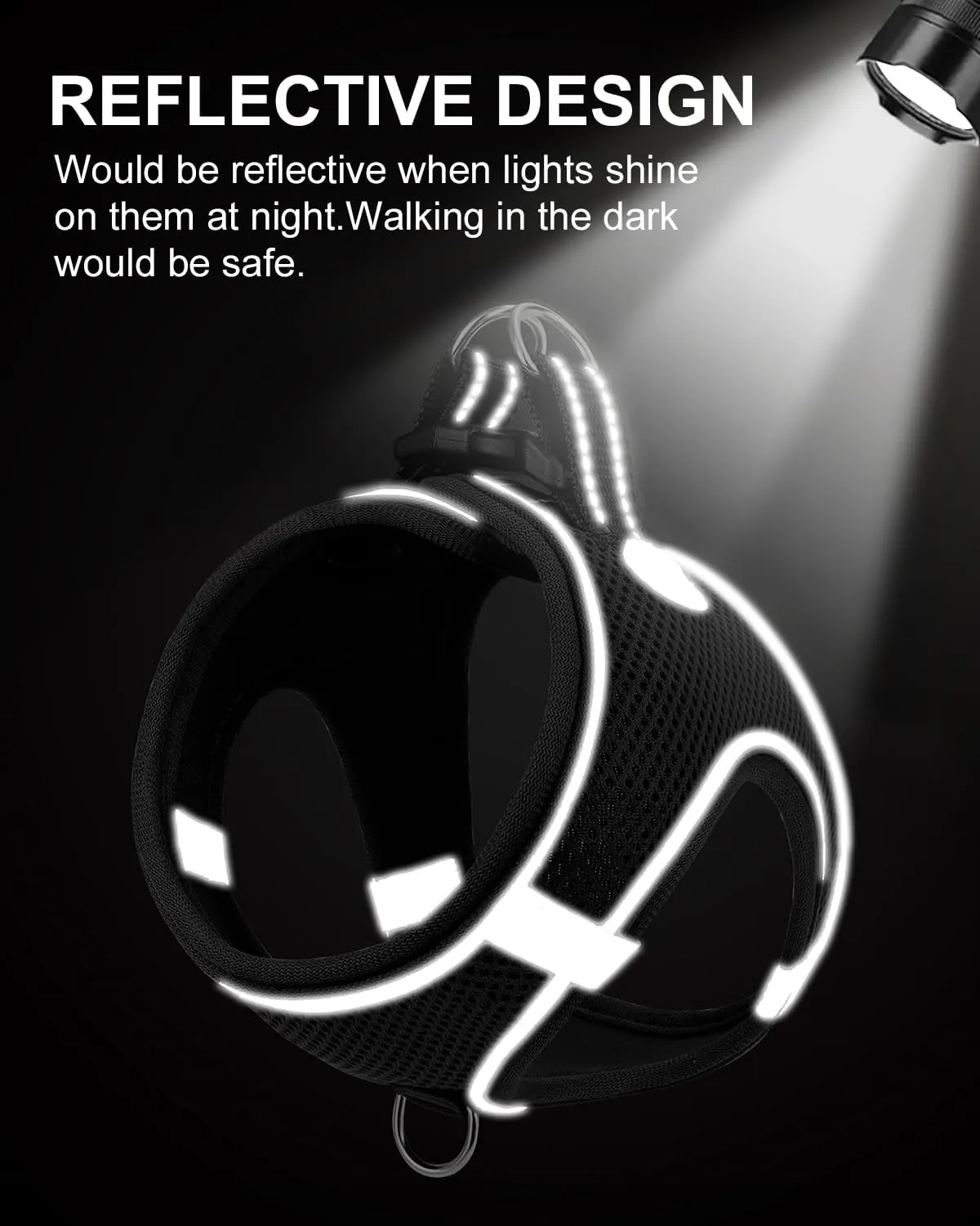 Joytale ,,,,XS 