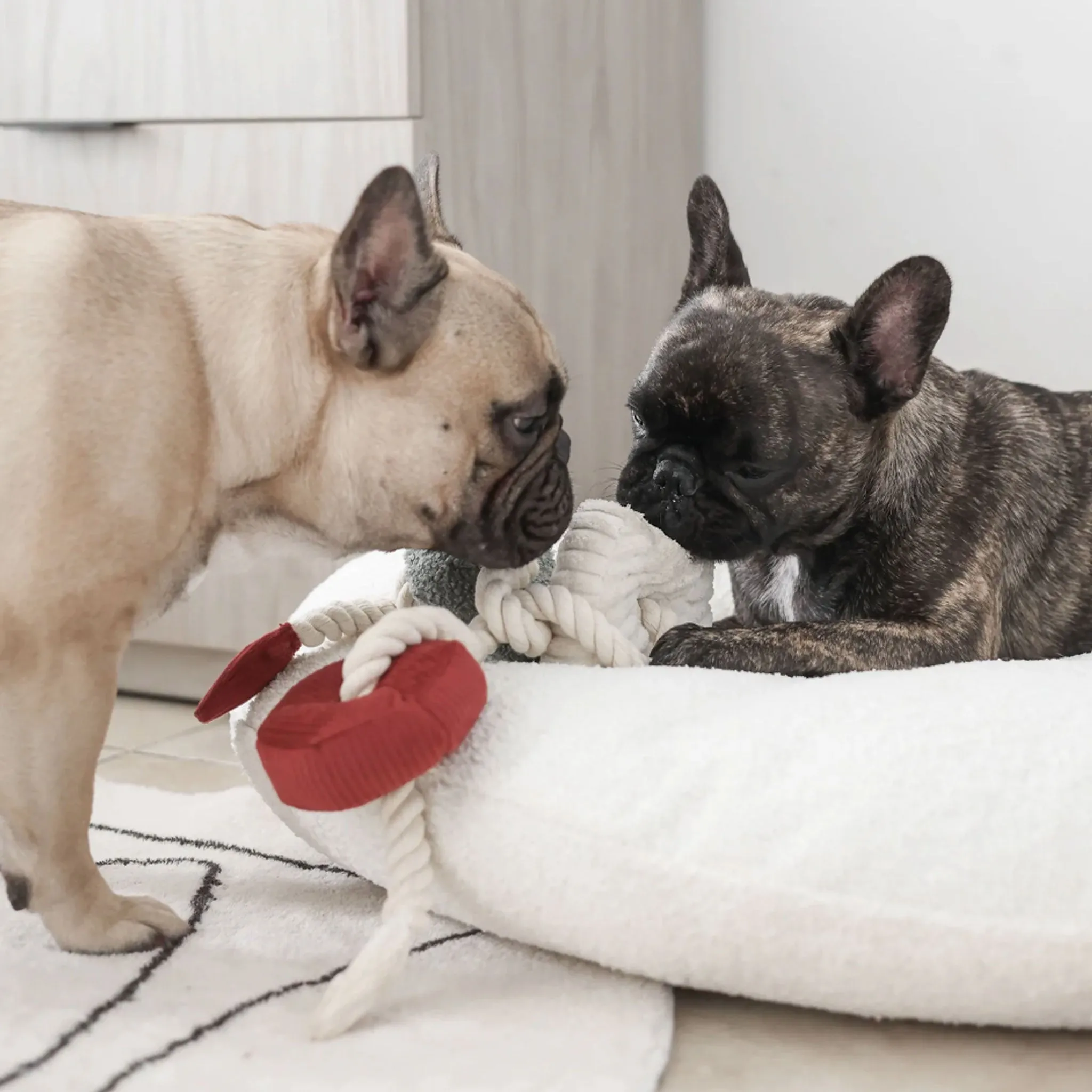 Lambwolf Holiday Bloc Dog Toy