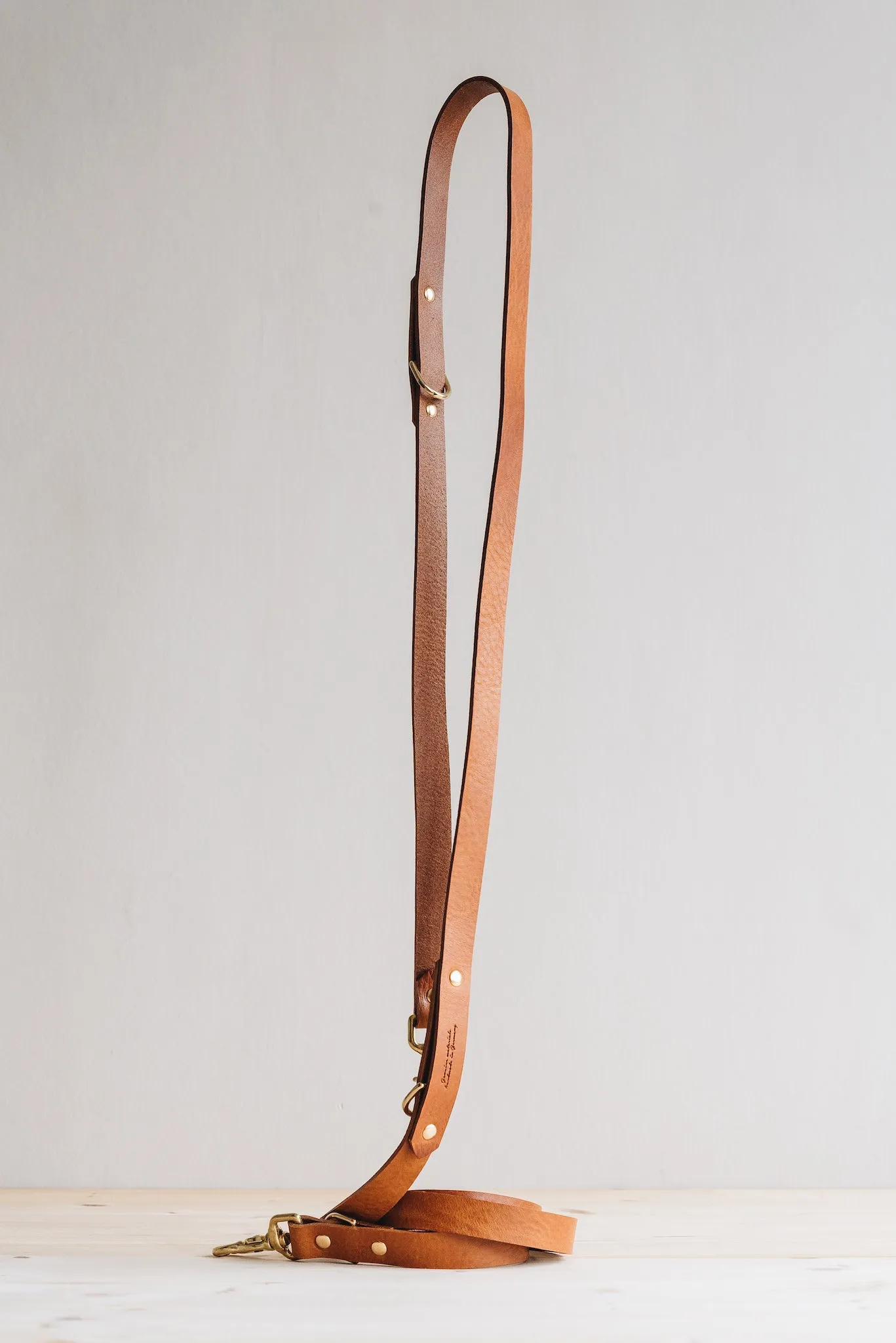 Lasso Leather Dog Leash
