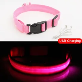 LED dog Collar