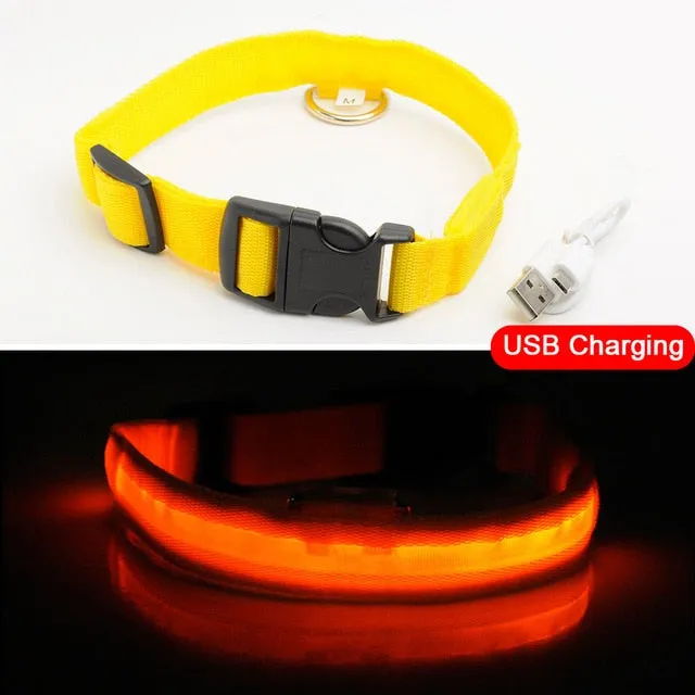 LED dog Collar