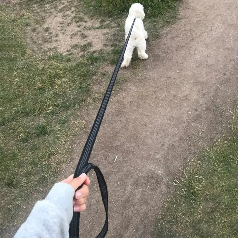 Long Dog Leash - Best Dog Leash for Pulling Type A