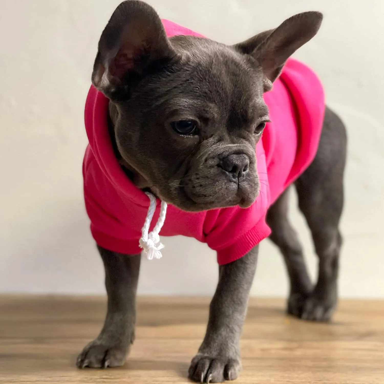 Love My Grandma Valentine's Day Dog Hoodie Fleece Lined Pullover Sweatshirt with Leash Hole (Grey, X-Large 399)