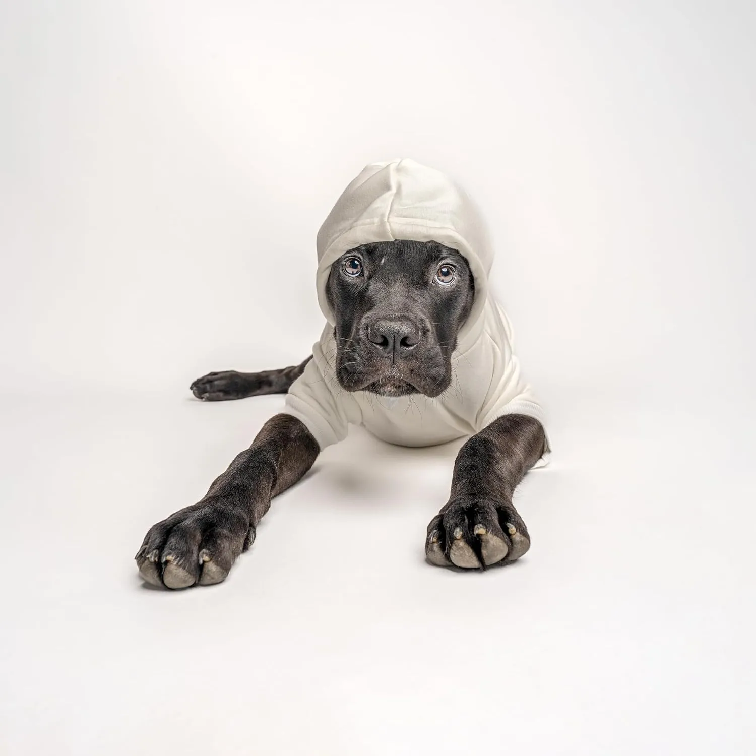 Love My Grandma Valentine's Day Dog Hoodie Fleece Lined Pullover Sweatshirt with Leash Hole (Grey, X-Large 399)