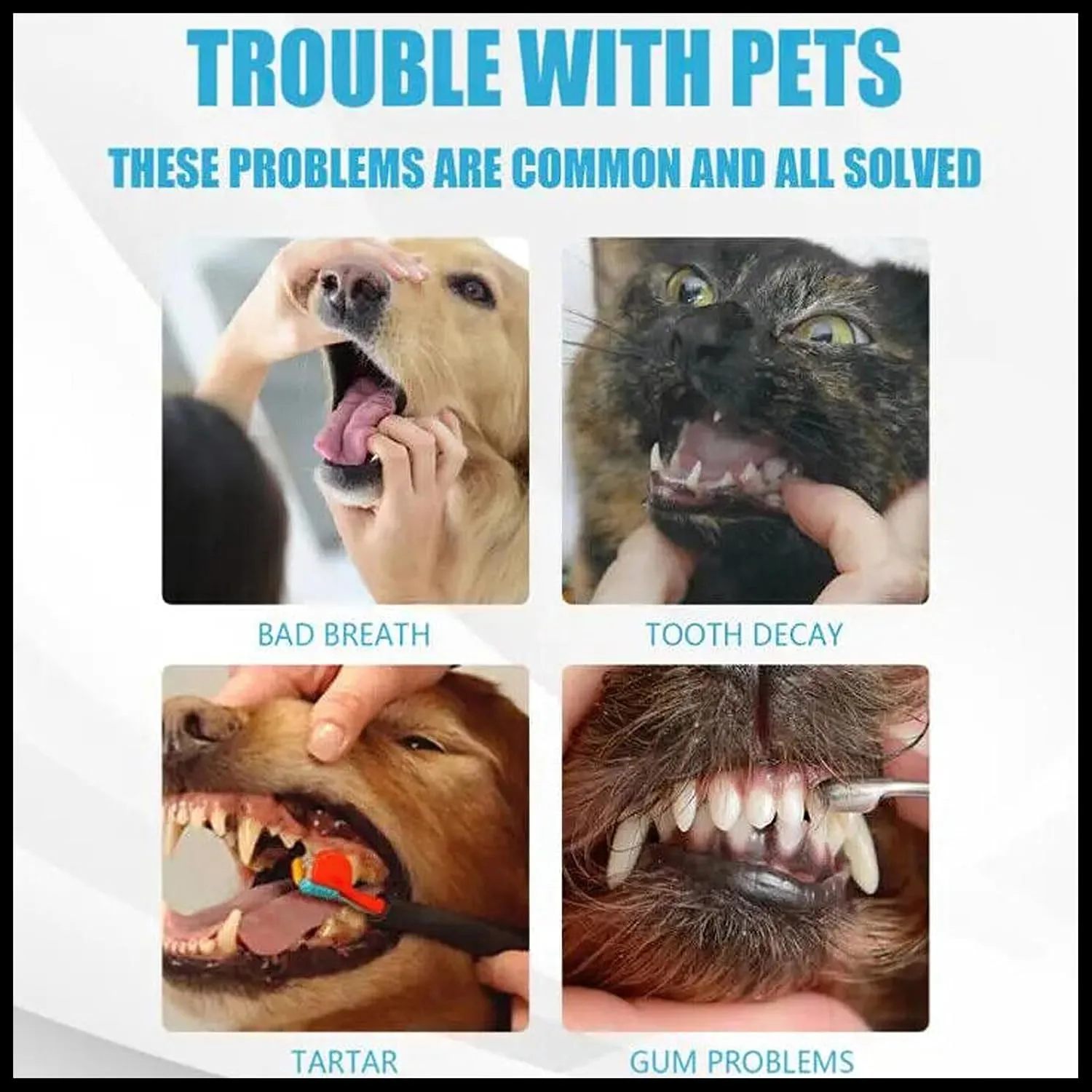 MIELIKKI Pets Dental Toothpaste, Toothpaste for Cats & Dogs, Cleans Teeth, Fights Bad Breath, Promotes Strong Teeth, 100g, Beef Flavor