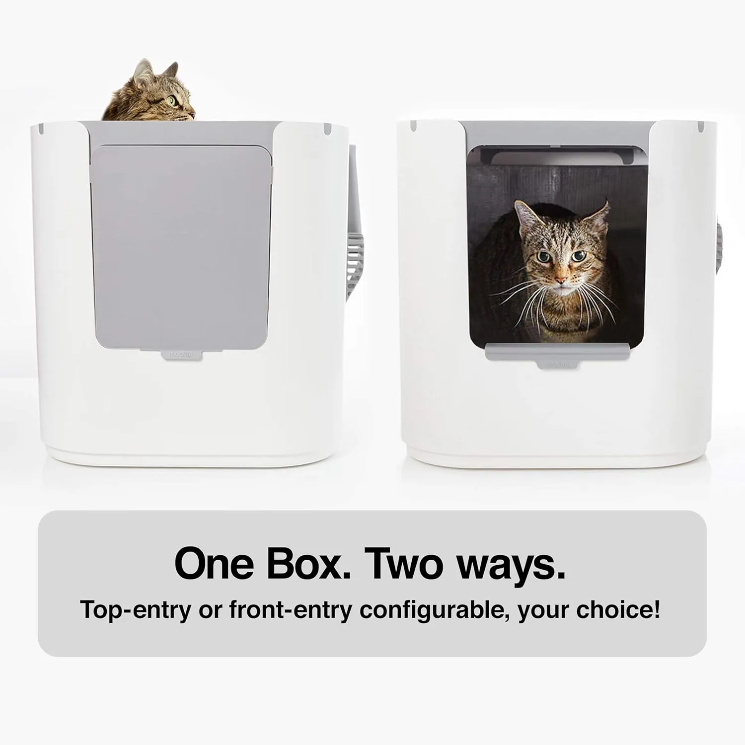 Modkat XL Litter Box, Top or Front-Entry Configurable, Full Height Seamless Base, Reusable Litter Liners, Sifting Litter Scoop, 2X Bamboo Charcoal Filters - White