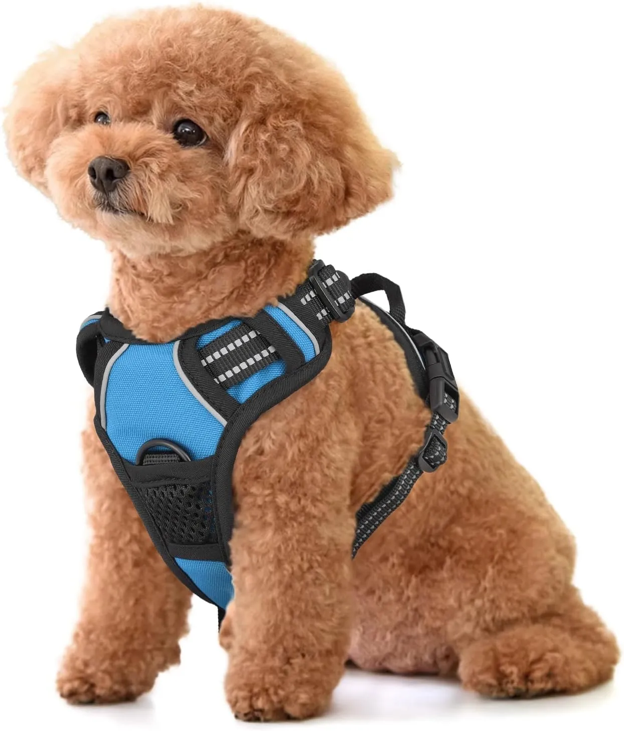 MoNiBloom Reflective Dog Harness, No Pull Vest Harness with Handle, Adjustable Soft Padded Pet Harness for Small Dogs, Sky Blue, S