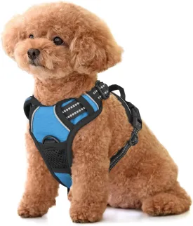 MoNiBloom Reflective Dog Harness, No Pull Vest Harness with Handle, Adjustable Soft Padded Pet Harness for Small Dogs, Sky Blue, S