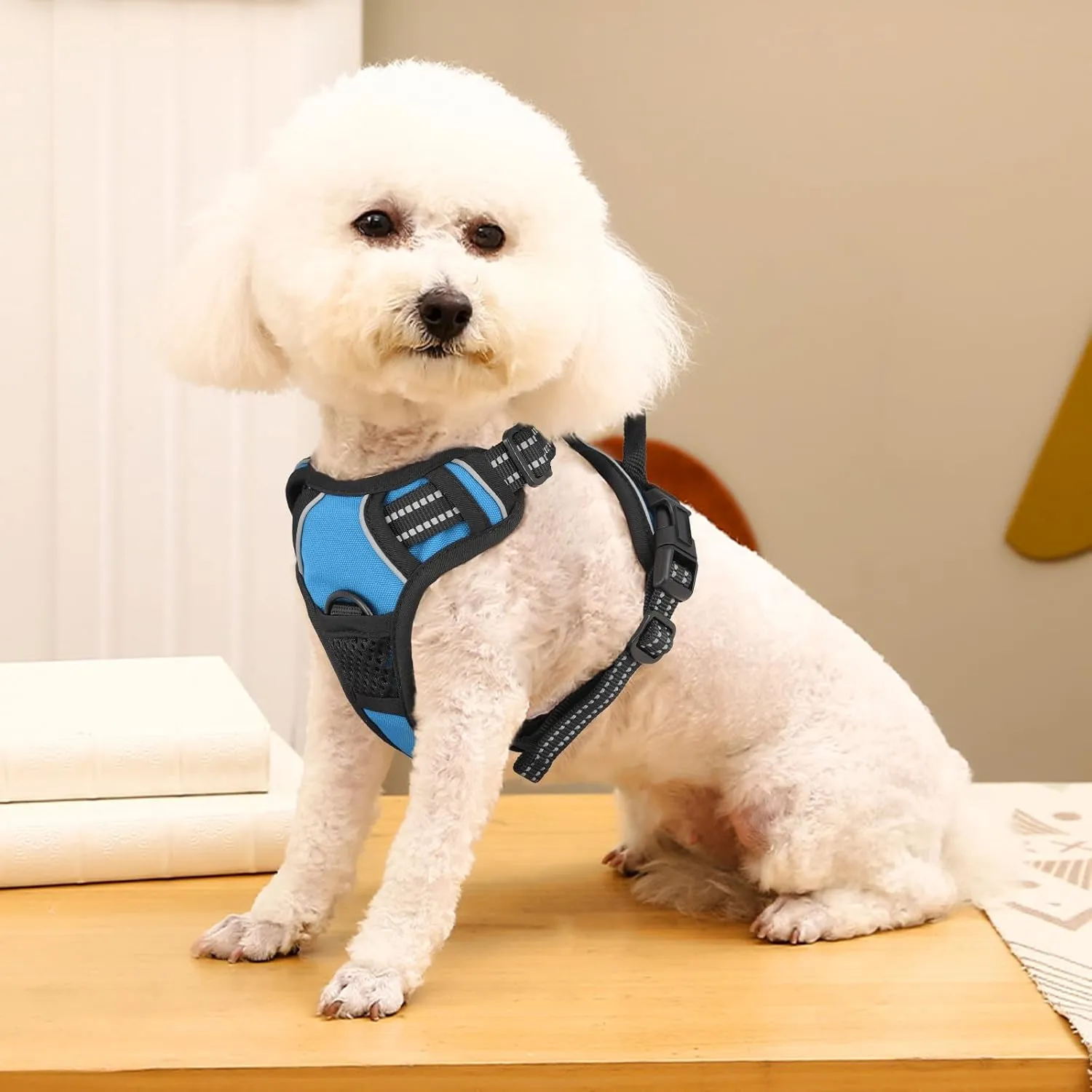 MoNiBloom Reflective Dog Harness, No Pull Vest Harness with Handle, Adjustable Soft Padded Pet Harness for Small Dogs, Sky Blue, S