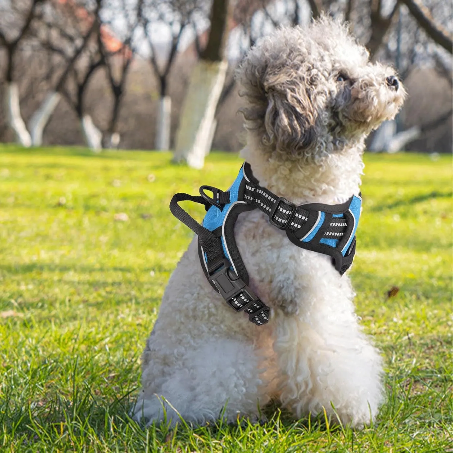 MoNiBloom Reflective Dog Harness, No Pull Vest Harness with Handle, Adjustable Soft Padded Pet Harness for Small Dogs, Sky Blue, S