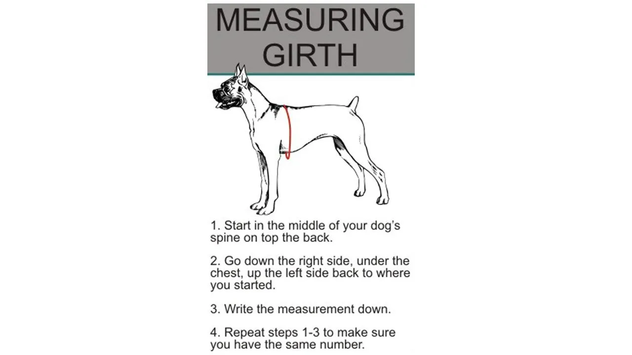 Nakura Senior Dog Harness With Removable Patches - Blue - Large