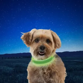 NiteDog Rechargeable LED Collar - L - Lime/Green LED