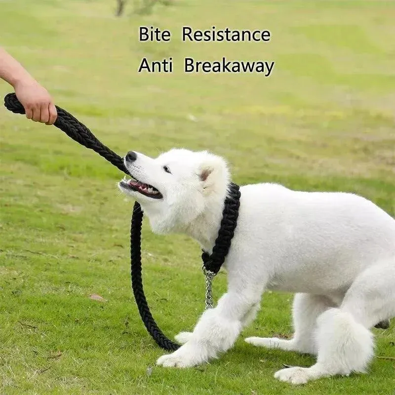 Nylon Dog Harness Leash