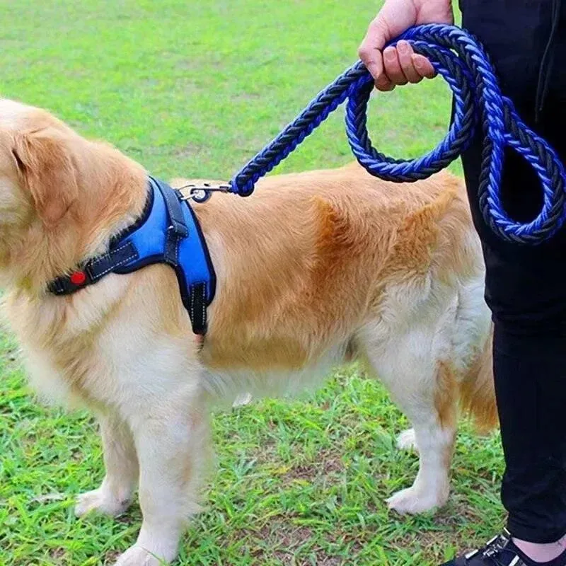 Nylon Dog Harness Leash